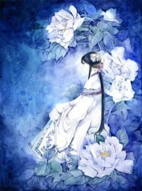 孤芳不自赏